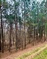 0 Reece Mountain Road - Photo 6