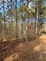 0 Reece Mountain Road - Photo 8