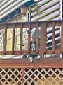 130 Happy Valley Lane - Photo 8