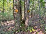 169 Dunns Road - Photo 98