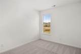 1638 Lacebark Elm Way - Photo 30