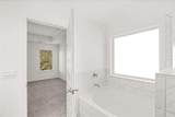 1638 Lacebark Elm Way - Photo 40