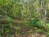 0 Tanglewood Lane - Photo 4