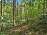 0 Tanglewood Lane - Photo 6