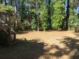 1429 Pineglen Drive - Photo 4