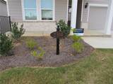 2304 Grape Vine Way - Photo 2