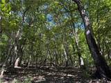 0 Moss Patch Trail - Photo 1