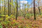5618 Highway 52 - Photo 45