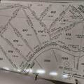 977 Raccoon Ridge - Photo 4