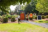 3508 Blue Spruce Court - Photo 36