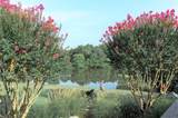 162 Elysian Way - Photo 28