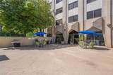2479 Peachtree Street - Photo 50