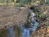 9.65ac Wilkins Cove Road - Photo 16