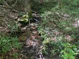 9.65ac Wilkins Cove Road - Photo 5