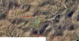 9.65ac Wilkins Cove Road - Photo 6