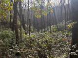 9.65ac Wilkins Cove Road - Photo 7