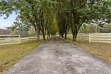 871 Robinson Road - Photo 40