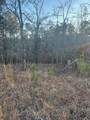 00 River Ridge Trail - Photo 2