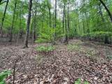 387 Windflower Drive - Photo 8