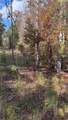618 Steel Bridge Road - Photo 12