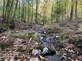 0 Lone Bear Path - Photo 2