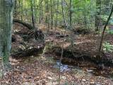 0 Lone Bear Path - Photo 3