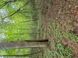 0 Crayfish Place - Photo 14