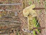 0 Crayfish Place - Photo 23