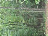 0 Crayfish Place - Photo 5
