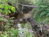 0 Needmore Rd Unit (345.37 Acres) - Photo 27