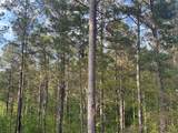 0 Needmore Rd Unit (345.37 Acres) - Photo 5