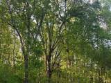 0 Needmore Rd Unit (345.37 Acres) - Photo 6