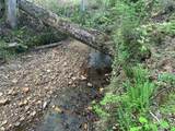0 Needmore Rd Unit (345.37 Acres) - Photo 7