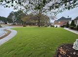 2408 Camellia Allee Court - Photo 41