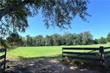 1202 Hodges Circle - Photo 77