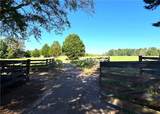 1202 Hodges Circle - Photo 79