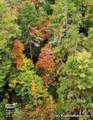 LOT 29 Raven Ridge Road - Photo 2