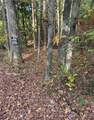 3604 Memorial Parkway - Photo 5