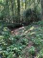 00 Fears Road - Photo 23