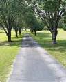 2131 Highway 81 - Photo 11