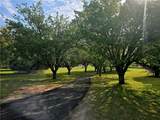 2131 Highway 81 - Photo 3