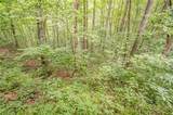 213 Moonshine Hollow - Photo 32
