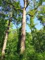 3403 Glenwood Road - Photo 24