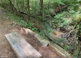 2152 Royal Fern Trail - Photo 9