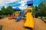 91 Somerset Club Drive - Photo 11