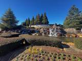 6242 Ivy Stone Way - Photo 2