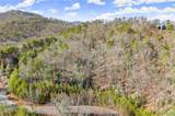 1001 Black Bear Trail - Photo 3