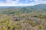 1001 Black Bear Trail - Photo 5