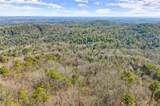 1001 Black Bear Trail - Photo 8