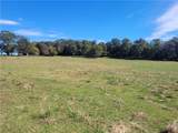 8117 Sandy Cross Road - Photo 3